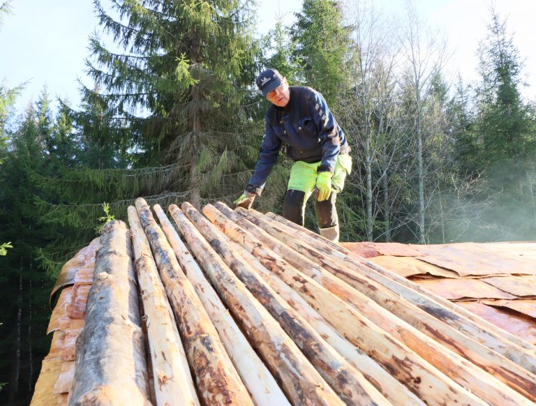 Mies seisoo katolla ottamassa vastaan ja latomassa tuohien päälle pyöreitä puun runkoja.