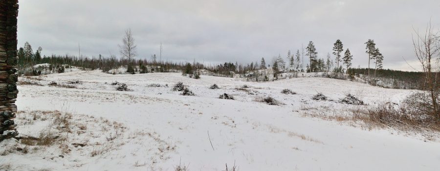 Panoraamavalokuva lumiselta pellolta, josta on raivattu pajut, jotka tosin vielä odottavat pois kuljetusta.