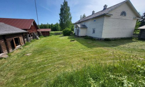 Maatalon pihanurmikko on leikattu. Vasemmalla valkeaksi maalattu päärakennus, ja vastapäätä navetta.