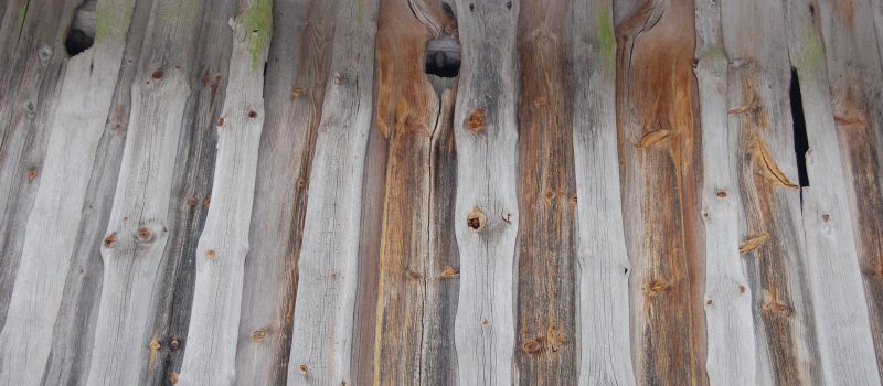 Tuppilaudasta naulattu rakennuksen pystyvuori, jossa on kaksi tikan hakkaamaa reikää.