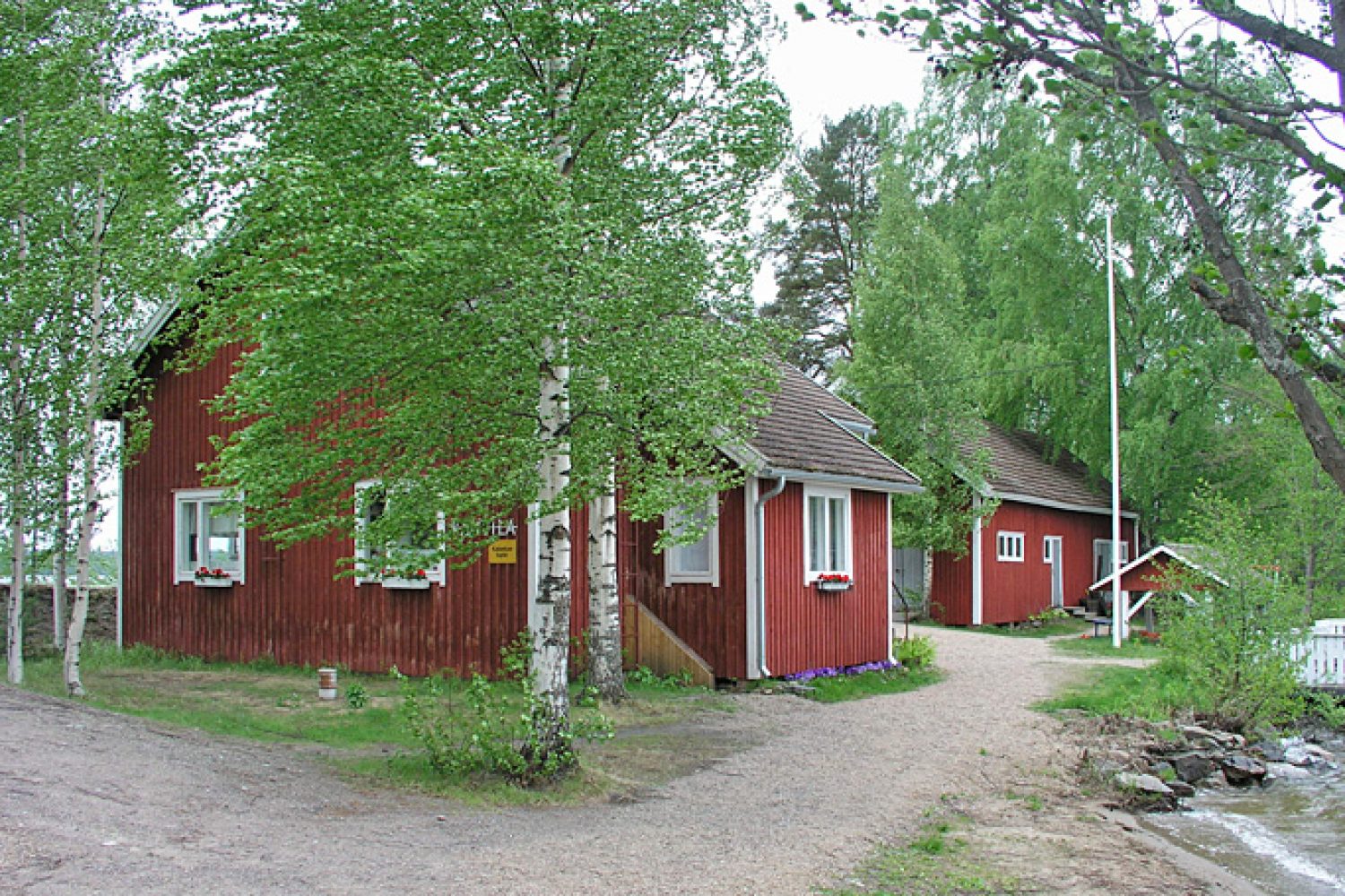 Koivujen keskellä on kaksi punaista puutaloa. Taloille johtaa polku ja näkyvissä on ranta.