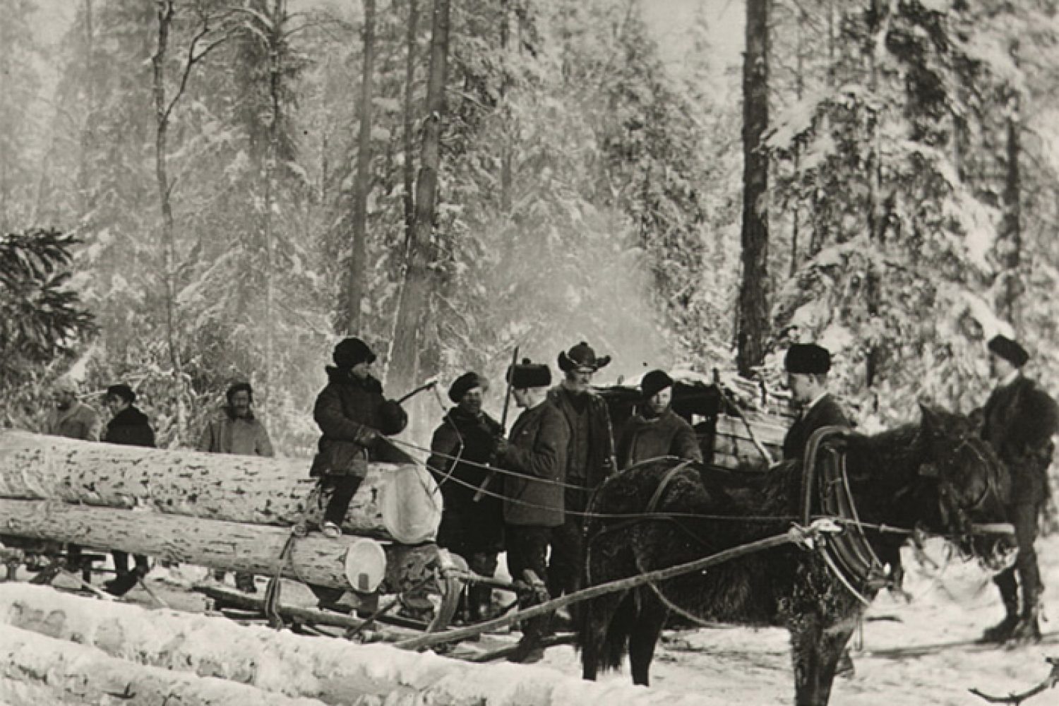 Mustavalkoisessa kuvassa hevonen vetää rekeä, jonka kyydissä on kolme tukkia ja kuski. Ympärillä on pari muuta rekeä sekä kahdeksan muuta ihmistä. Sää on luminen ja kaikki ovat pukeutuneet lämpimästi.